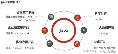 想在互聯網公司上班,該選擇什么專業學習入行呢