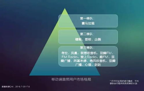 2017中國(guó)網(wǎng)絡(luò)視聽發(fā)展報(bào)告 用戶付費(fèi)意識(shí)崛起與網(wǎng)生內(nèi)容品質(zhì)化轉(zhuǎn)型